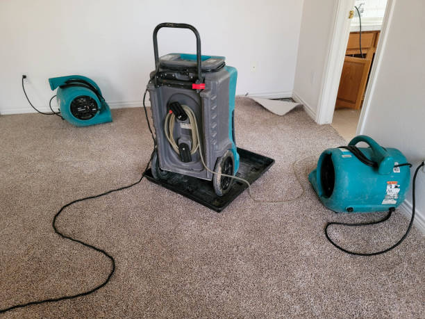 Best Water damage restoration near me  in Fayetteville, GA