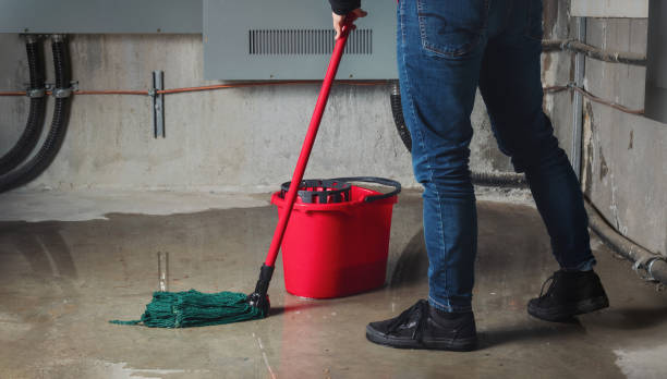 Best Professional water damage repair  in Fayetteville, GA