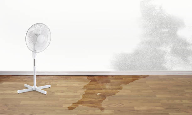 Water damage restoration experts in GA