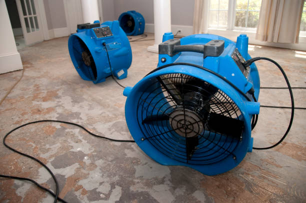 Best Mold removal after water damage  in Fayetteville, GA