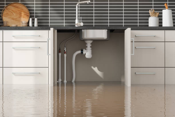 Best Flood restoration services  in Fayetteville, GA