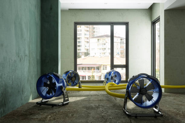 Best Fire Damage Restoration  in Fayetteville, GA